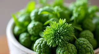 Harvesting Your Culinary Herbs: Timing & Techniques